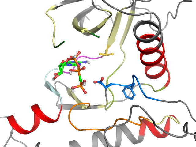The orthosteric binding pocket