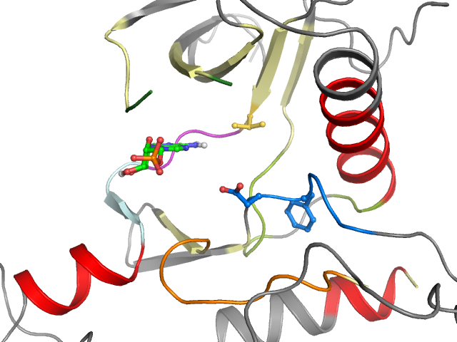 The orthosteric binding pocket