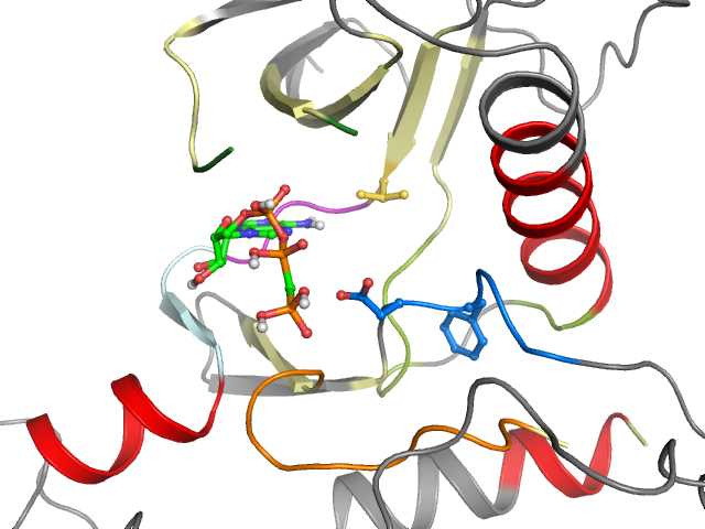 The orthosteric binding pocket