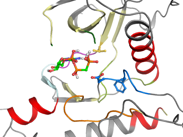 The orthosteric binding pocket