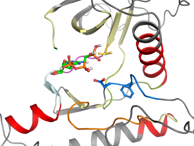 The orthosteric binding pocket