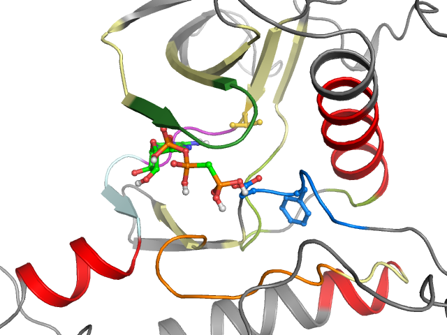 The orthosteric binding pocket