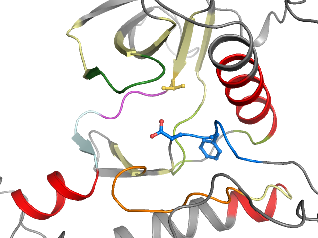 The orthosteric binding pocket