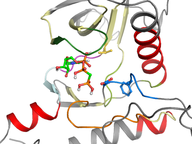 The orthosteric binding pocket