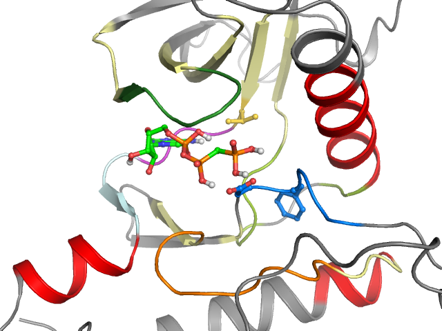 The orthosteric binding pocket