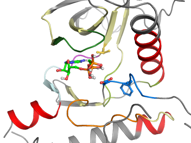 The orthosteric binding pocket