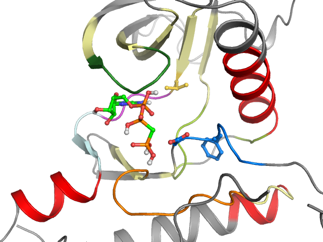 The orthosteric binding pocket