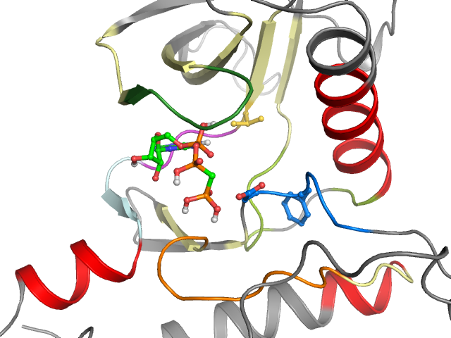The orthosteric binding pocket