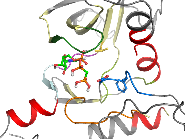 The orthosteric binding pocket