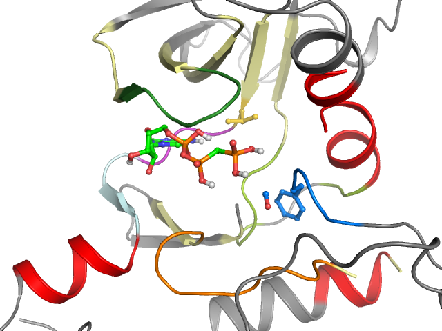 The orthosteric binding pocket