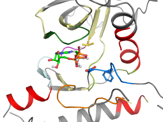 The orthosteric binding pocket