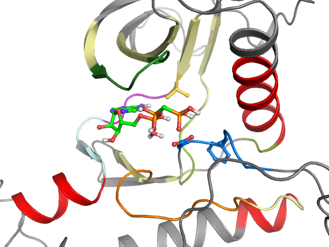 The orthosteric binding pocket