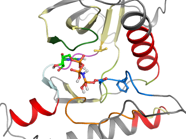 The orthosteric binding pocket