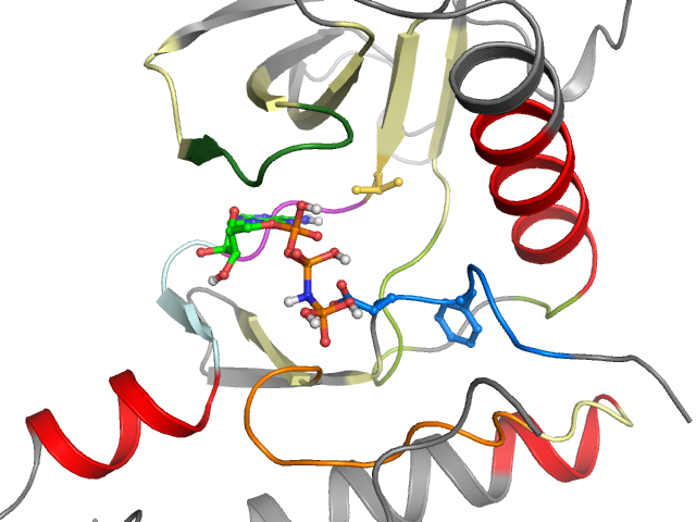 The orthosteric binding pocket