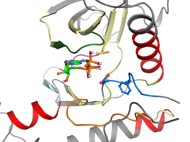 The orthosteric binding pocket