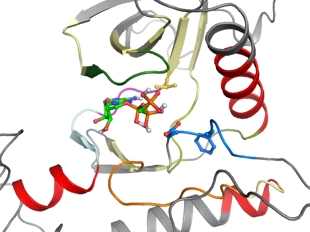 The orthosteric binding pocket