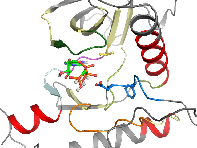The orthosteric binding pocket