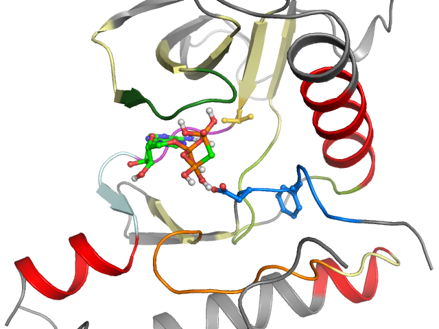 The orthosteric binding pocket