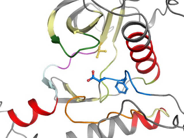 The orthosteric binding pocket