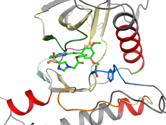 The orthosteric binding pocket