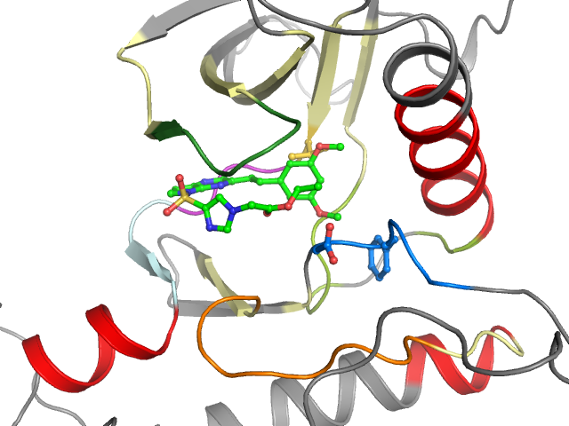 The orthosteric binding pocket