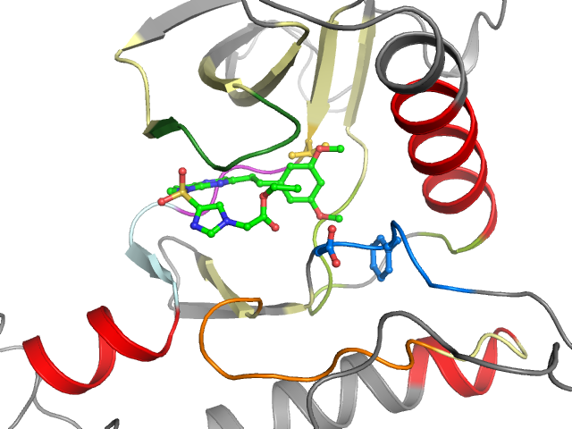 The orthosteric binding pocket