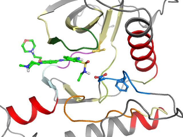 The orthosteric binding pocket