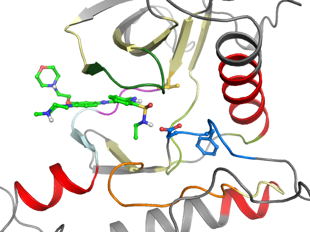 The orthosteric binding pocket