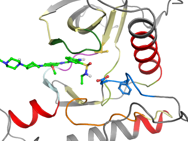 The orthosteric binding pocket