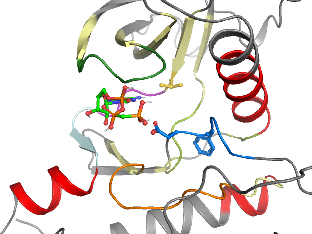 The orthosteric binding pocket