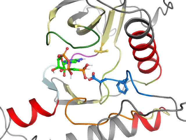 The orthosteric binding pocket
