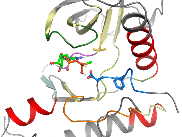 The orthosteric binding pocket