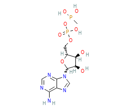 2D structure of the orthosteric ligand