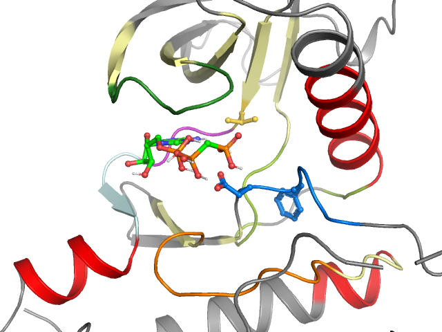 The orthosteric binding pocket