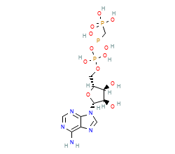 2D structure of the orthosteric ligand