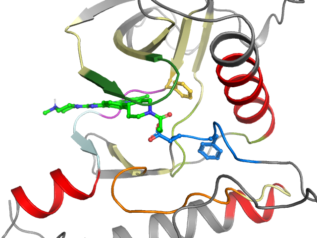 The orthosteric binding pocket