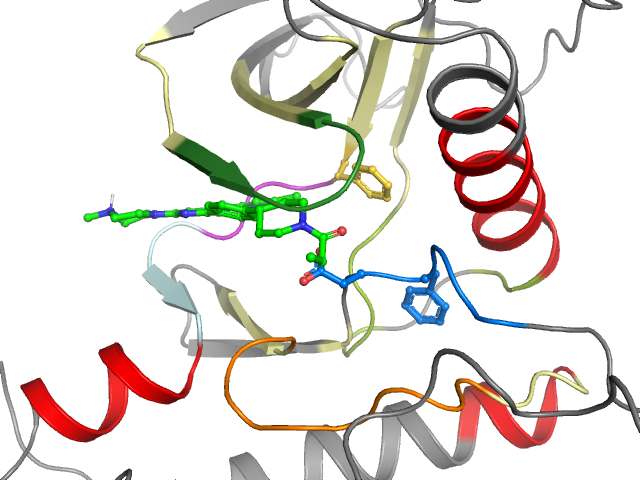 The orthosteric binding pocket