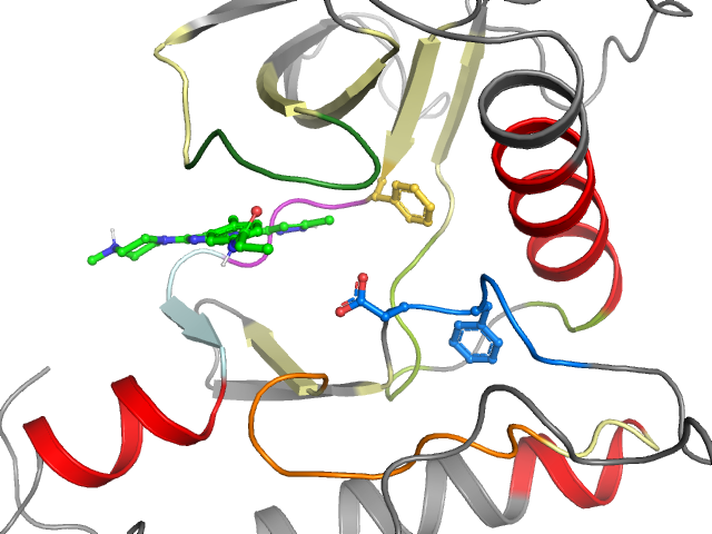 The orthosteric binding pocket