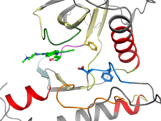The orthosteric binding pocket