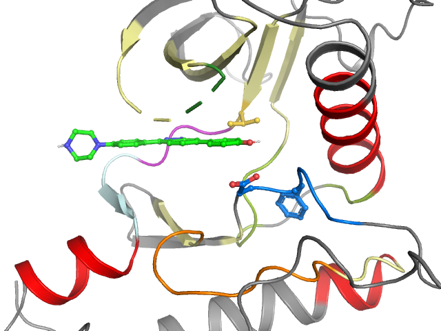 The orthosteric binding pocket
