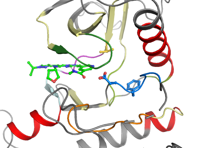 The orthosteric binding pocket