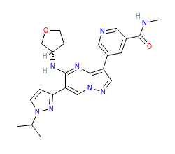 2D structure of the orthosteric ligand