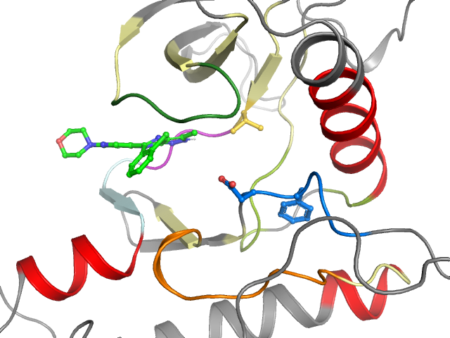 The orthosteric binding pocket