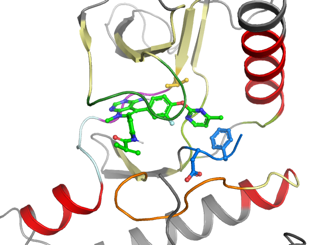 The orthosteric binding pocket