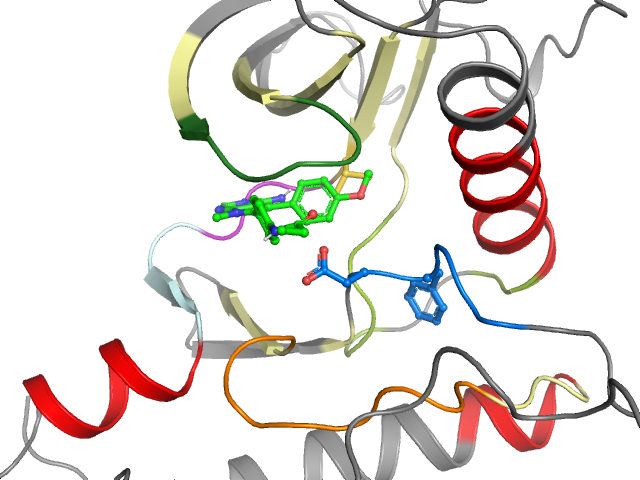 The orthosteric binding pocket
