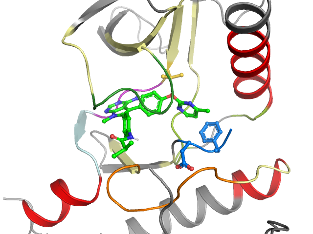 The orthosteric binding pocket