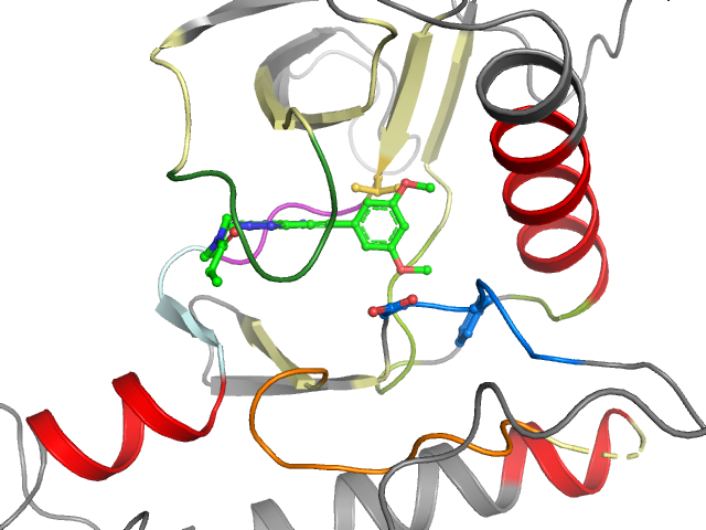 The orthosteric binding pocket