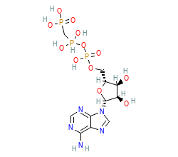 2D structure of the orthosteric ligand