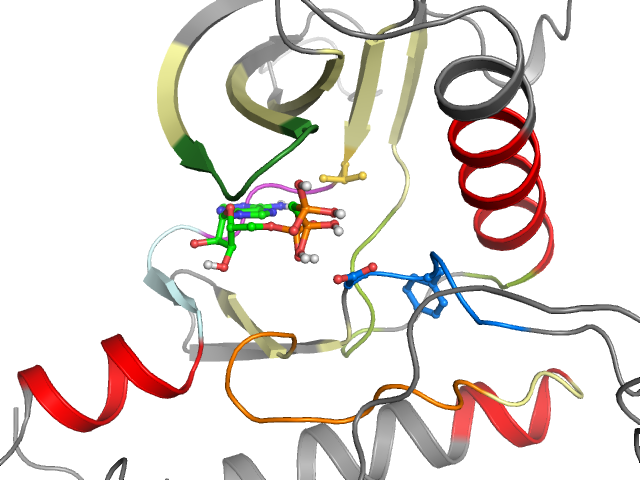 The orthosteric binding pocket