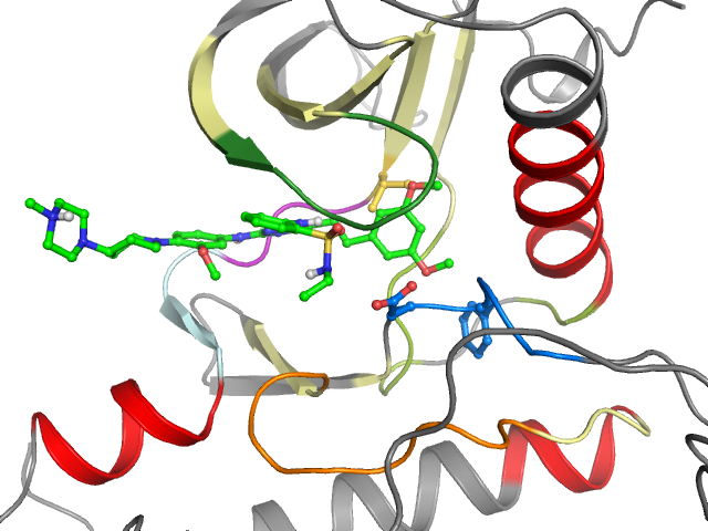 The orthosteric binding pocket